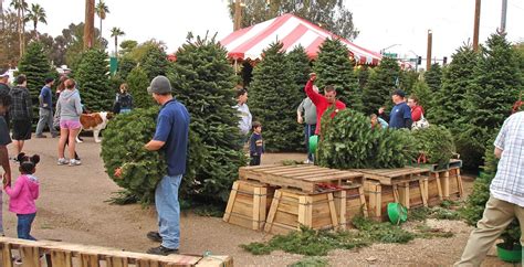 Our 7 Favorite Christmas Tree Farms and Lots on the Front Range - 5280. . Christmas tree lot near me